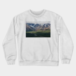 WGC_1265 Crewneck Sweatshirt